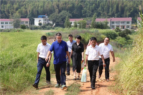 绿之韵集团董事长胡国安荣膺“全国学雷锋先进个人”荣誉称号