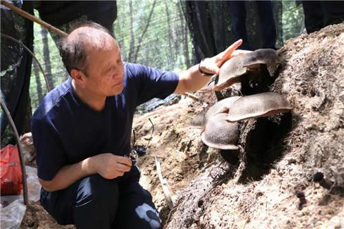 安发生物举行年中工作总结暨团建活动