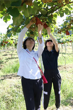 安发生物举行年中工作总结暨团建活动