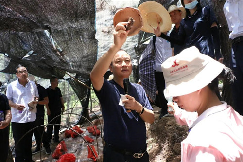 安发生物举行年中工作总结暨团建活动