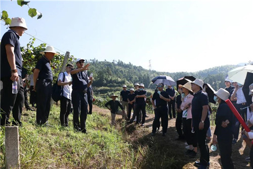 安发生物举行年中工作总结暨团建活动