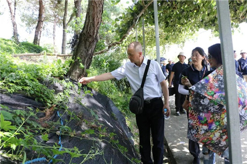 安发生物举行年中工作总结暨团建活动