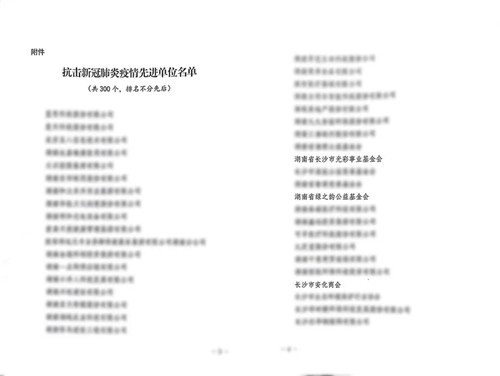 绿之韵公益基金会被湖南省工商联授予“抗击新冠肺炎疫情先进单位”称号