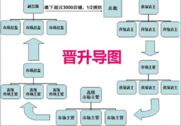 云集品11月27日之前的晋升体系，后来改为积分制。 资料图