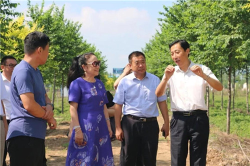 天士力总裁吴迺峰赴沂水考察