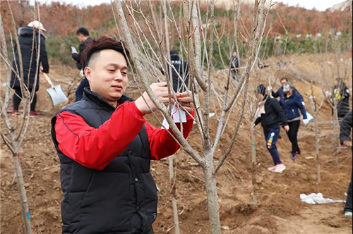 安然集团总部、山东分公司公益植树活动盎然开启