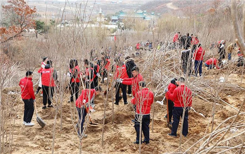 安然集团总部、山东分公司公益植树活动盎然开启