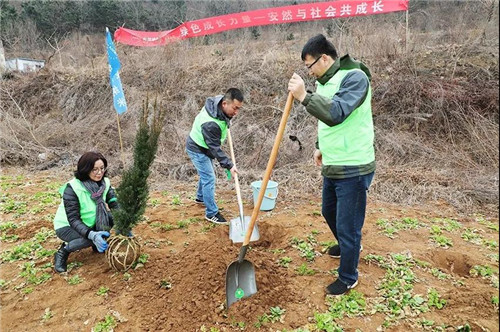 安然集团总部、山东分公司公益植树活动盎然开启