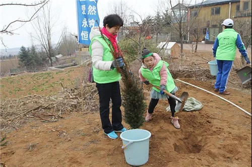 安然集团总部、山东分公司公益植树活动盎然开启