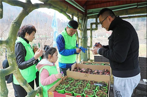 安然集团总部、山东分公司公益植树活动盎然开启