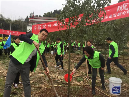 安然郑州、成都分公司公益植树活动绚丽启幕