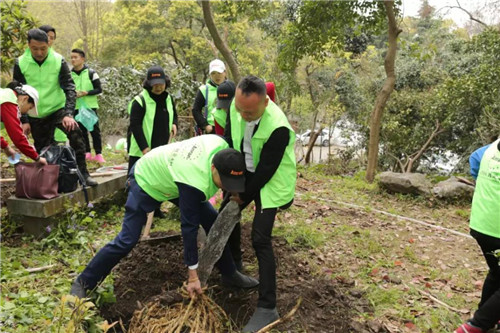 安然杭州分公司公益植树活动靓丽开启