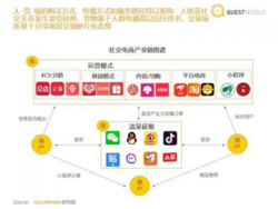 爆发式增长的社交电商，企业如何抓住这股春风？